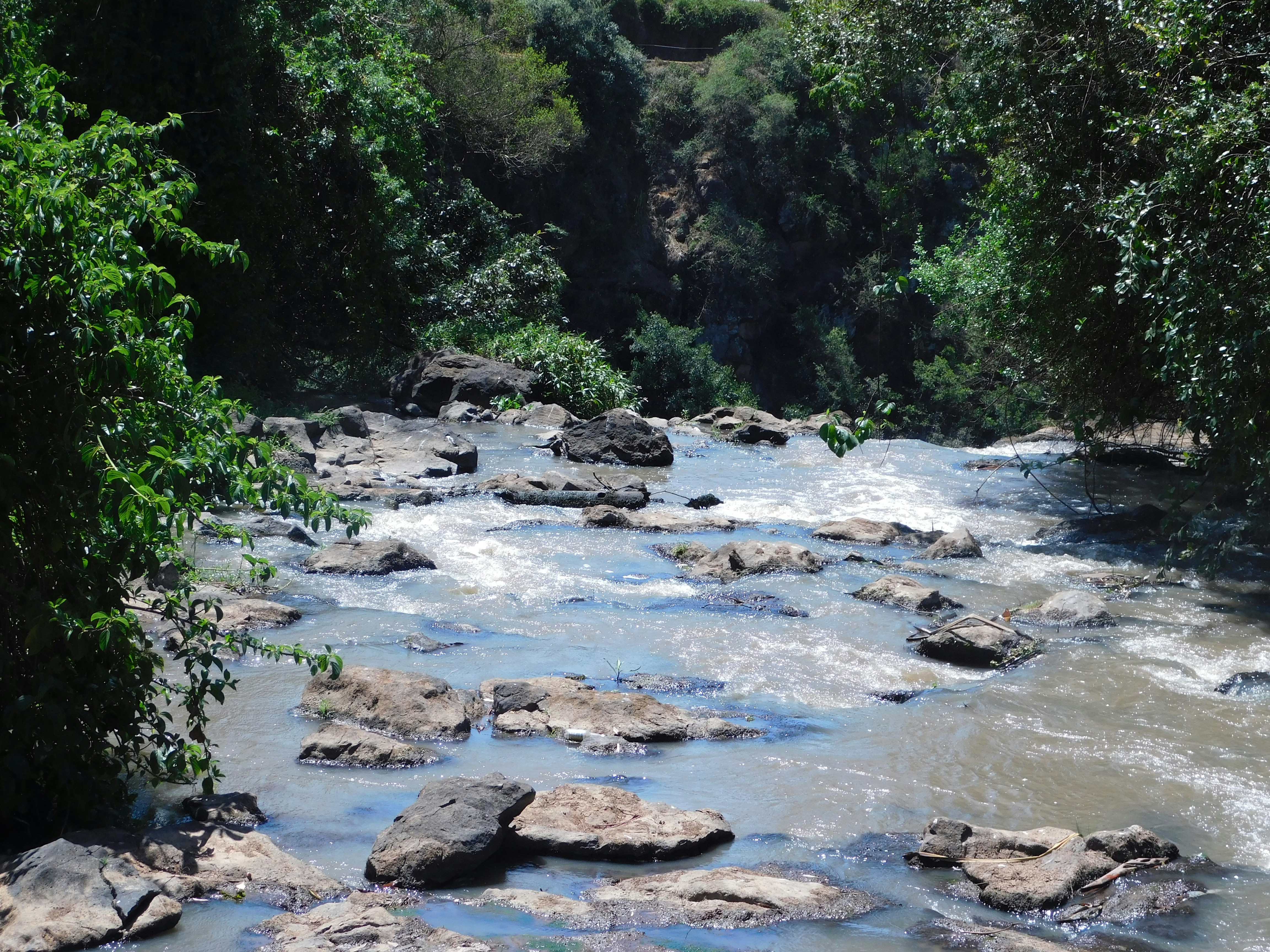 Lake Naivasha
